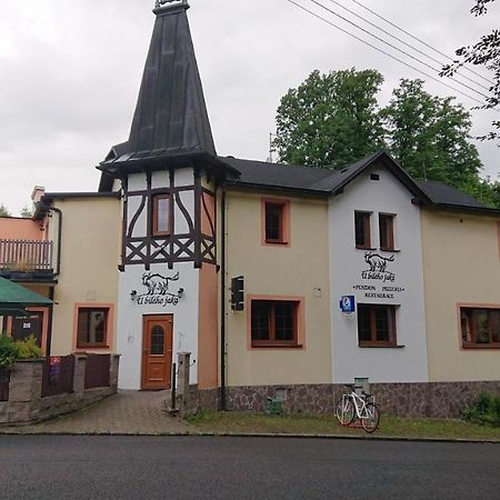 Penzion U Bileho Jaka Vilemov  Buitenkant foto