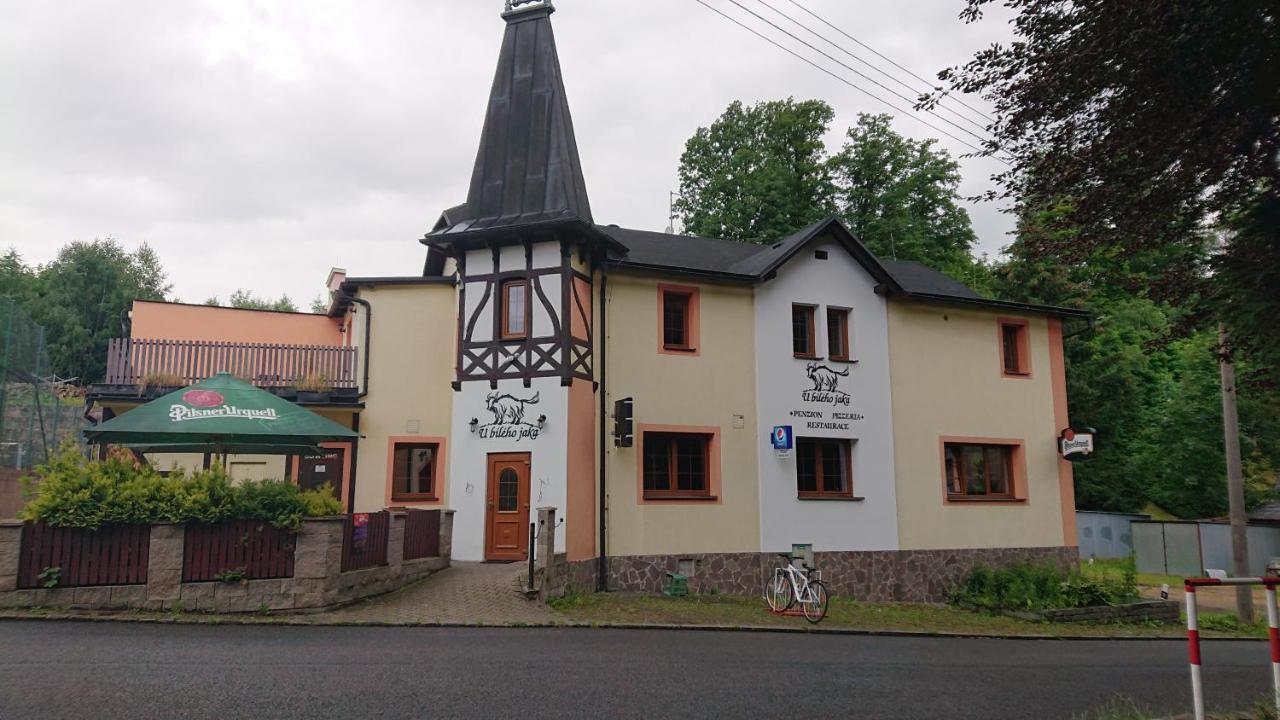 Penzion U Bileho Jaka Vilemov  Buitenkant foto